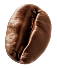 Bean 3