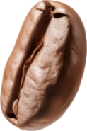 Bean 4