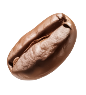 Bean 5