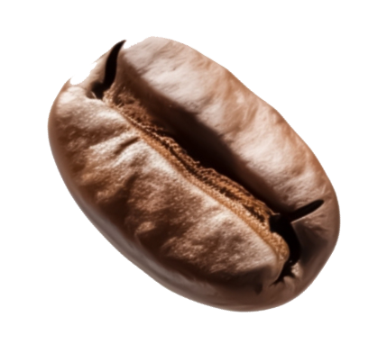 Bean 6