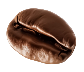 Bean 7